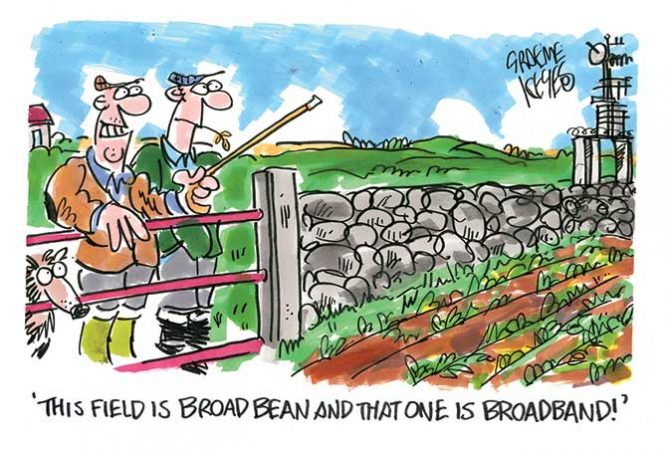 Keyes - Broad-bean - broadband