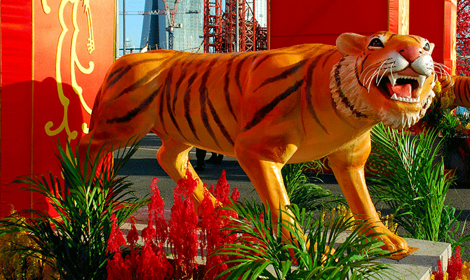 Tiger