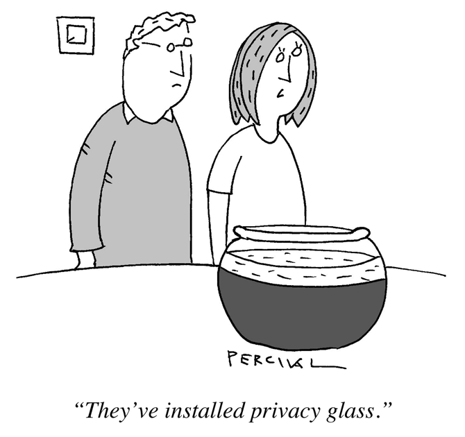 Matt Percival - privacy glass