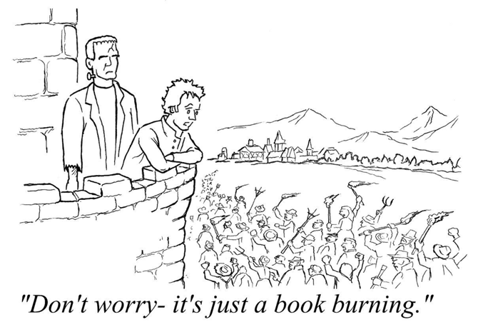 Jim Shoenbill - bookburning