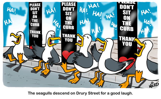 Micko - Seagulls on Drury-Street